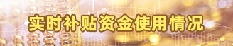 實(shí)時(shí)補(bǔ)貼資金使用情況