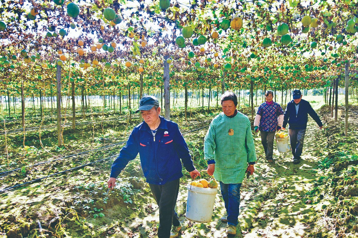 d21b5bf12c22cc0dc05415511493a2c5.jpg d21b5bf12c22cc0dc05415511493a2c5.jpg