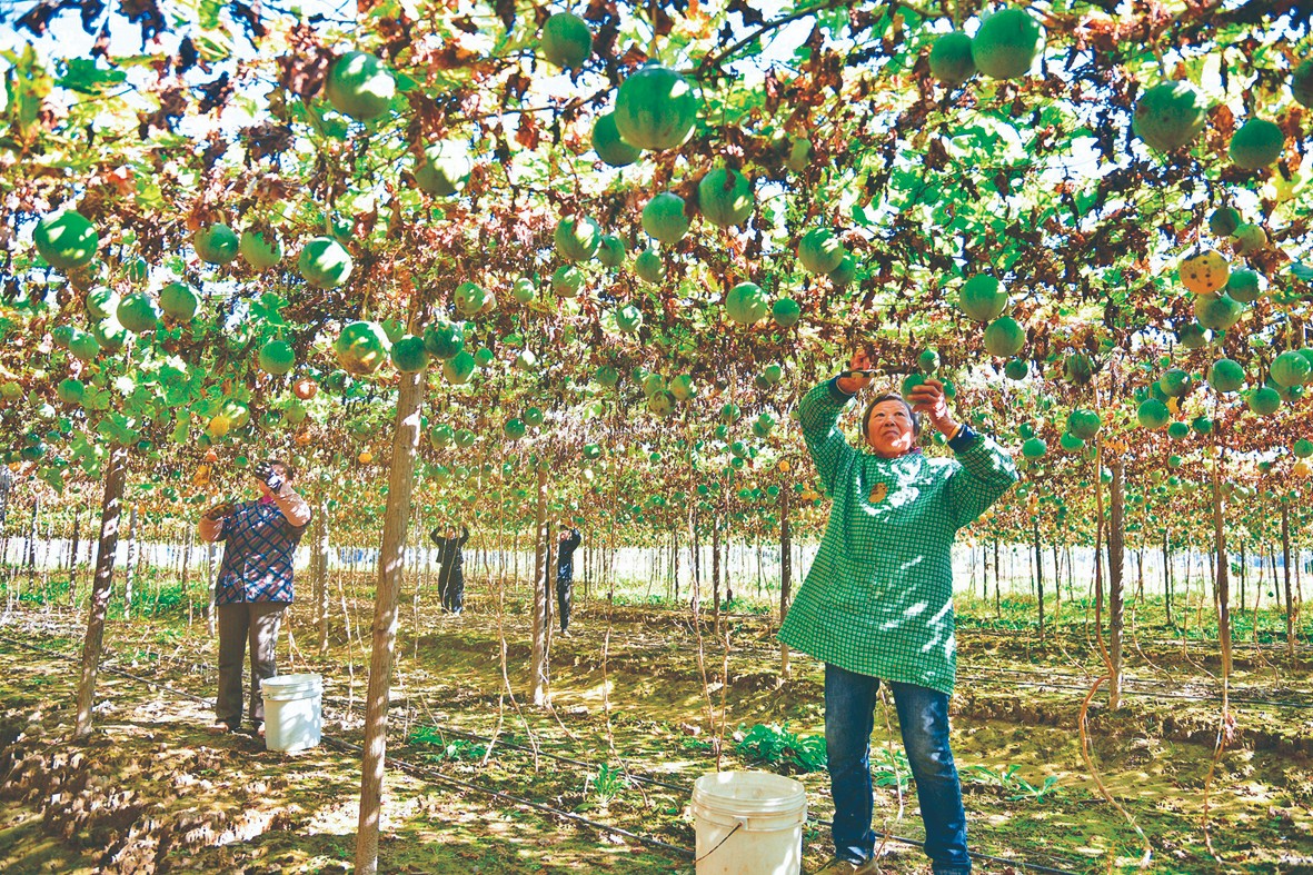 55dd05372e3d0803dfef514372d5cf37.jpg 55dd05372e3d0803dfef514372d5cf37.jpg