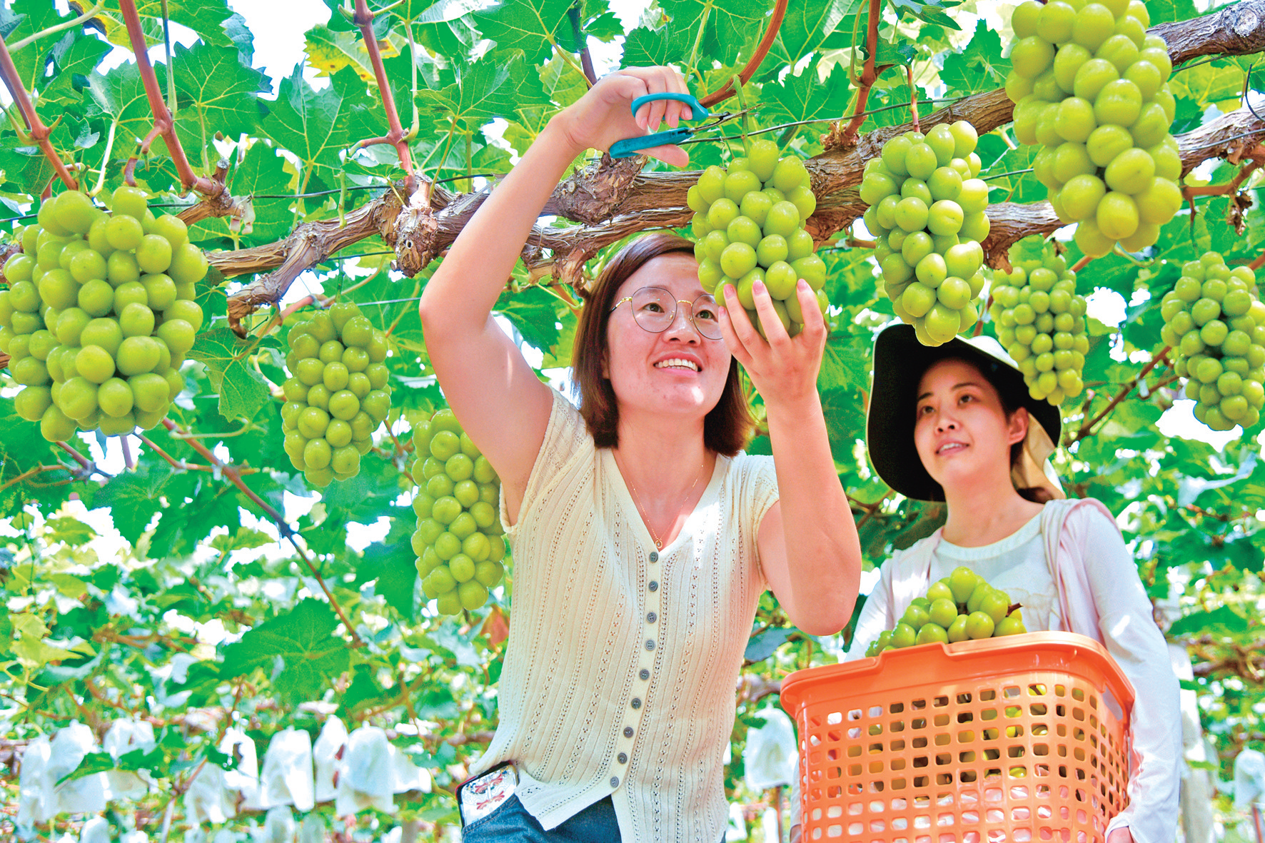 ad863156d1c5133bfb77840892df53ba.png ad863156d1c5133bfb77840892df53ba.png